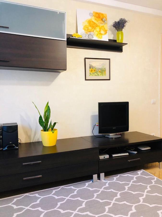 Sunflower Apartment Near Kiev Airport & Railway Station & Center City! Exteriér fotografie